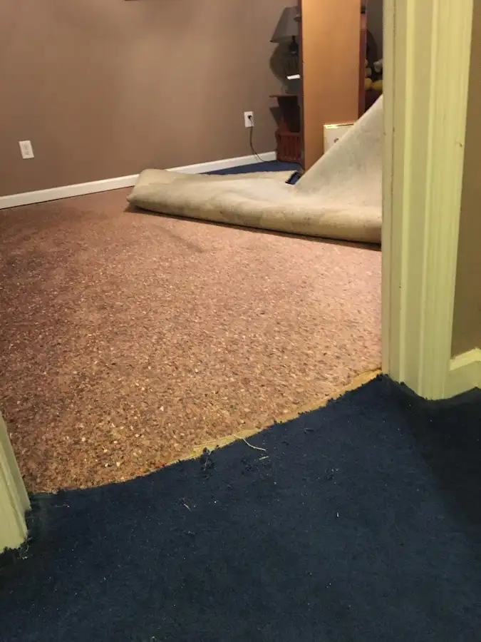 Carpet pad removal revealing water damage during Water Mitigation Services in Knoxville