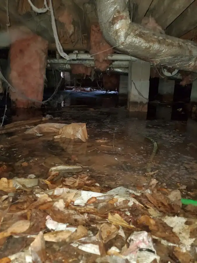 Crawl space flood assessment for Leak Detection & Repair in Knoxville